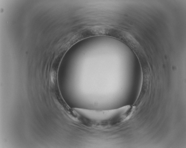 X0000060780125200511241829