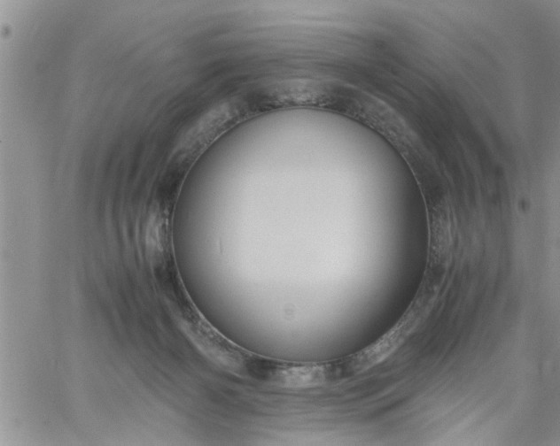 X0000060780126200511241829