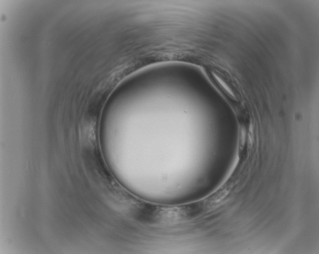 X0000060780127200511241829