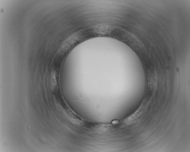 X0000060780128200511241829