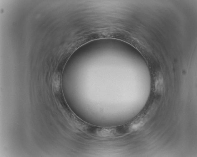 X0000060780129200511241829