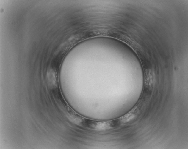 X0000060780130200511241829