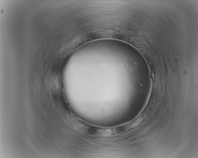 X0000060780131200511241829