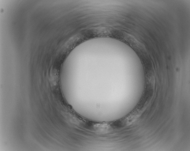 X0000060780133200511241829