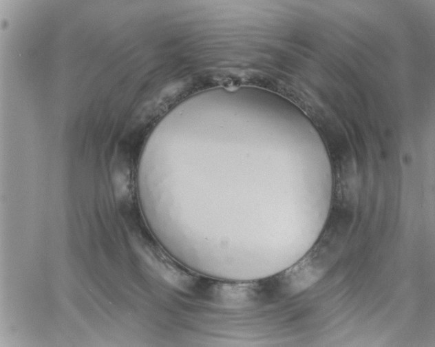 X0000060780134200511241829