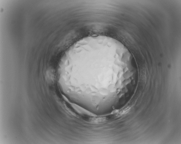 X0000060780135200511241829