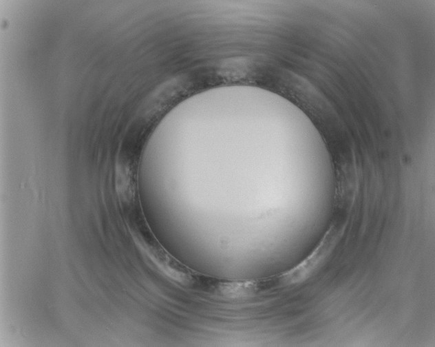 X0000060780136200511241829