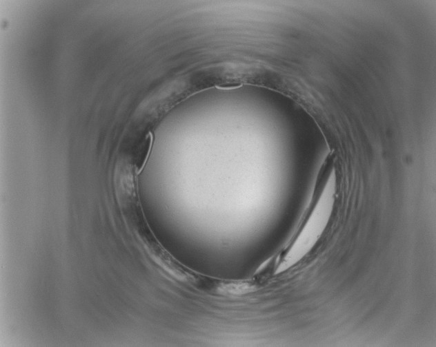 X0000060780137200511241829