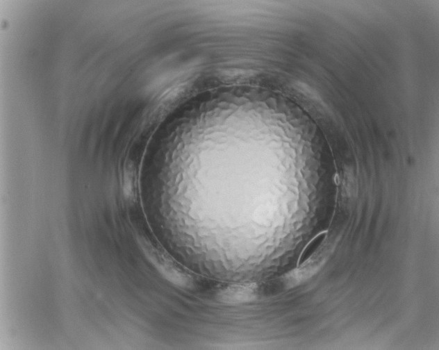 X0000060780138200511241829