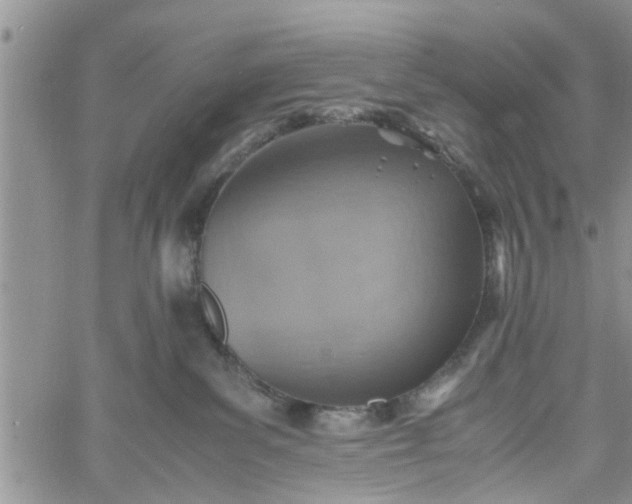 X0000060780139200511241829