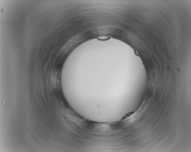 X0000060780140200511241829