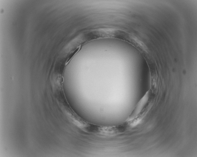 X0000060780141200511241829