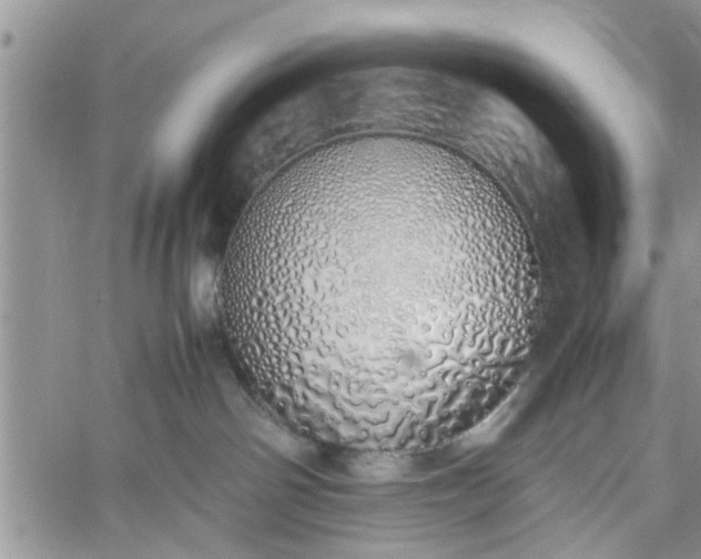 X0000060780142200511241829