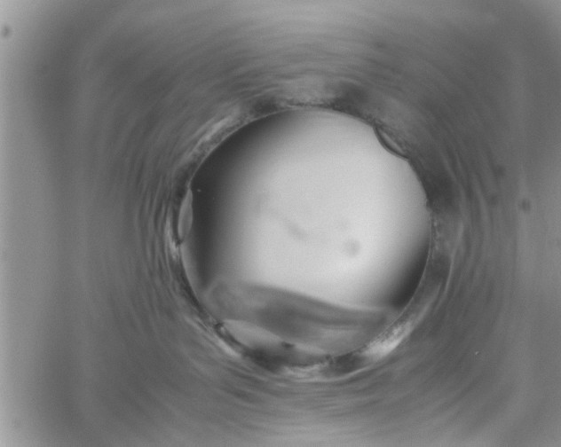 X0000060780143200511241829