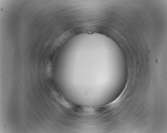 X0000060780144200511241829