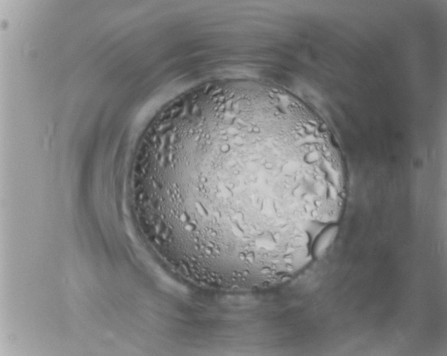 X0000060780145200511241828