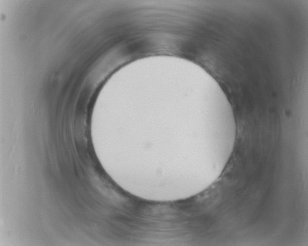 X0000060780146200511241828