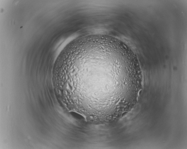 X0000060780147200511241828