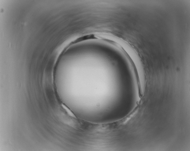 X0000060780148200511241828