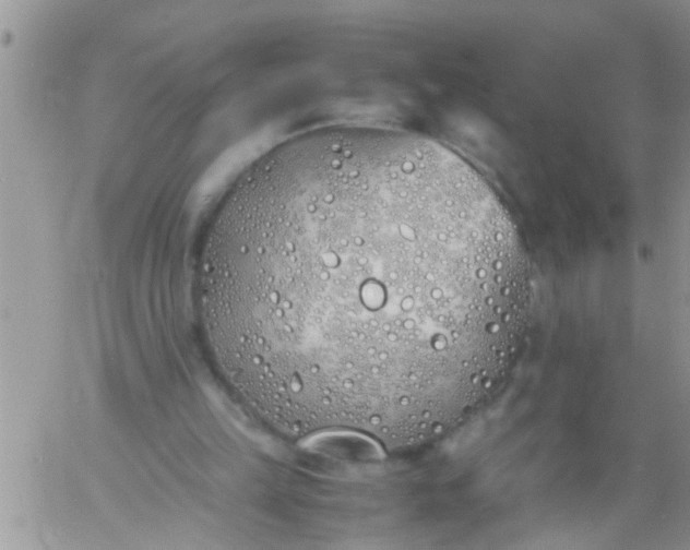 X0000060780149200511241828