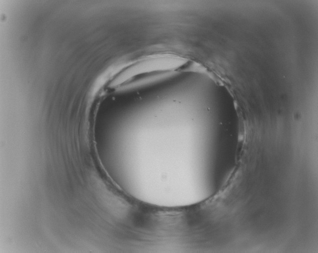 X0000060780150200511241828