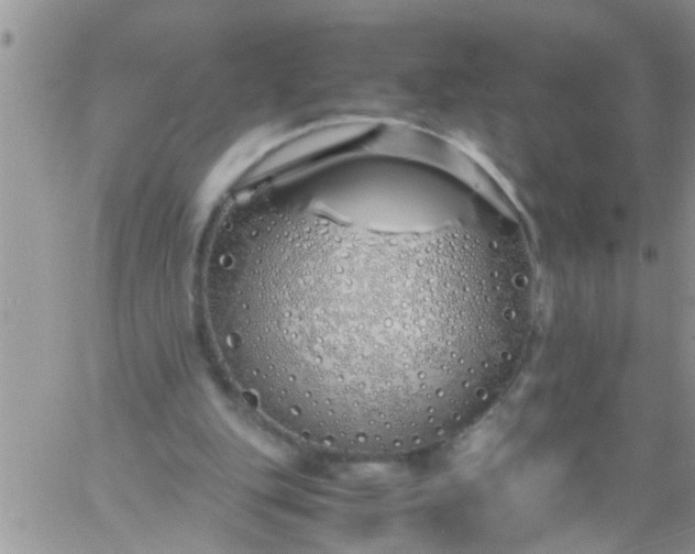 X0000060780151200511241828