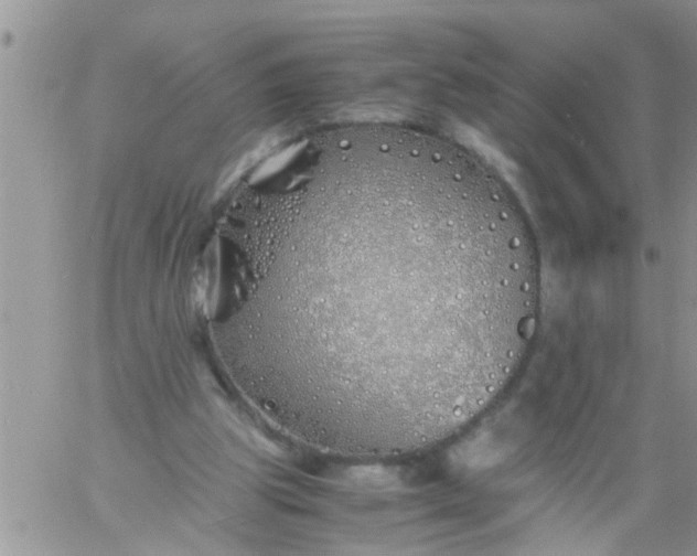 X0000060780153200511241828