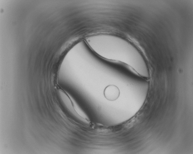 X0000060780154200511241828