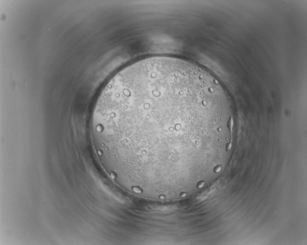 X0000060780155200511241828