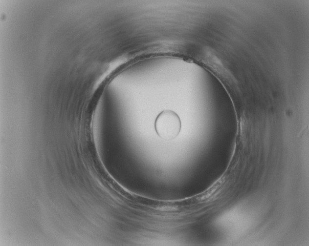 X0000060780156200511241828