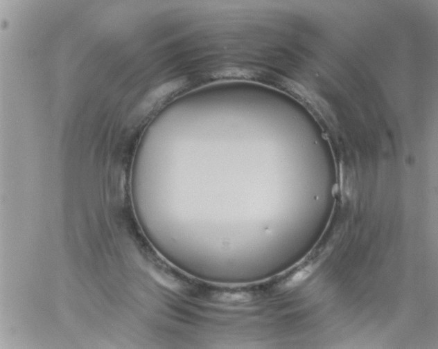 X0000060780157200511241828