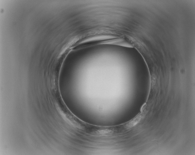 X0000060780158200511241828