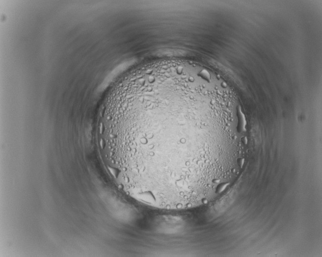 X0000060780159200511241828