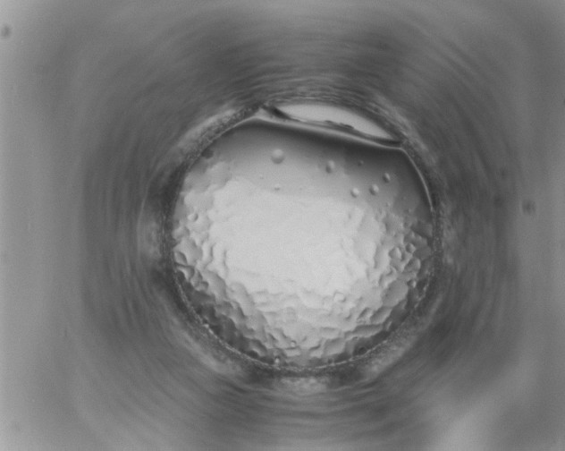 X0000060780161200511241828