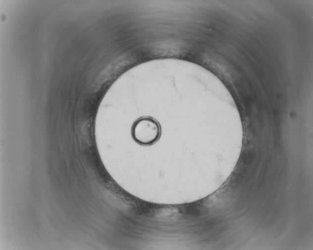 X0000060780162200511241828