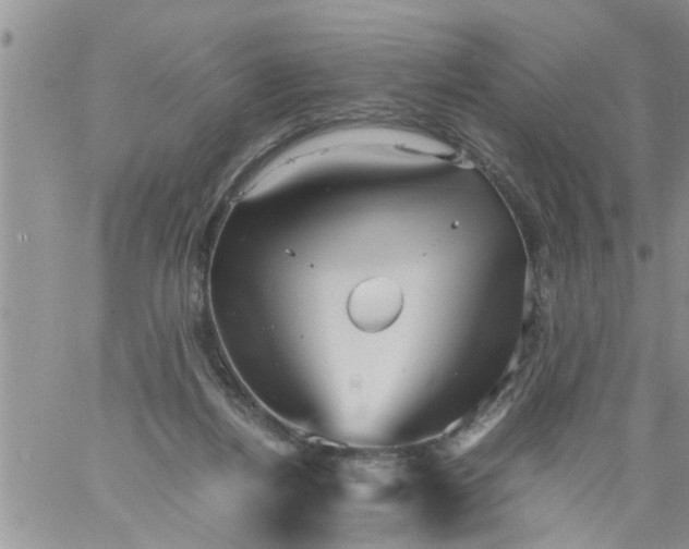 X0000060780164200511241828