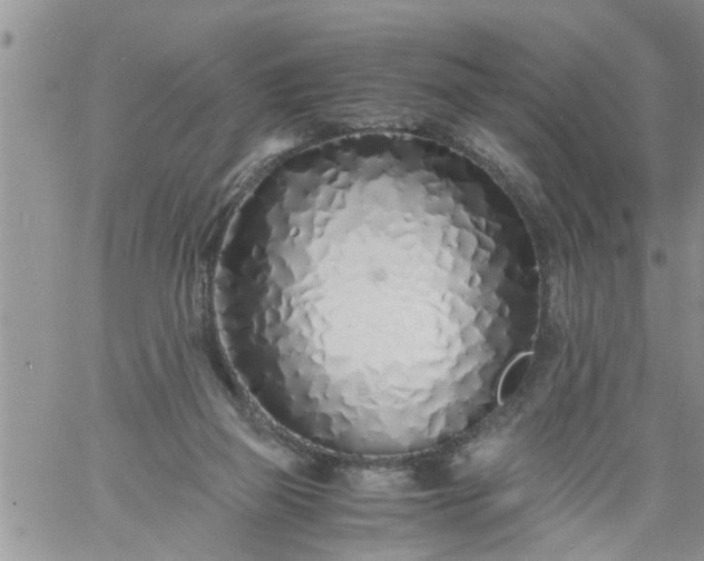 X0000060780165200511241828