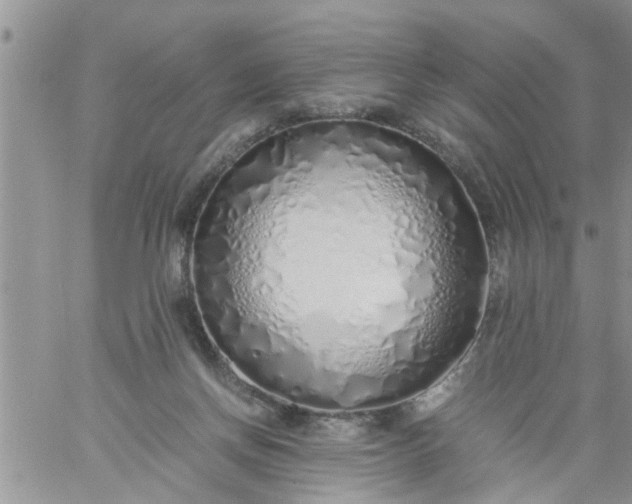 X0000060780166200511241828