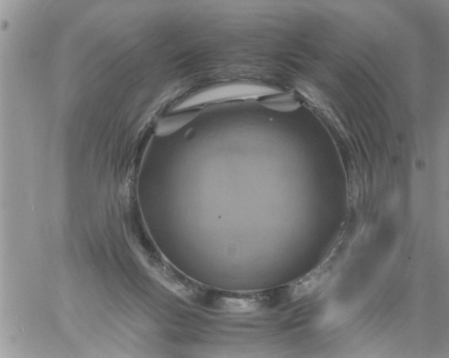 X0000060780167200511241828