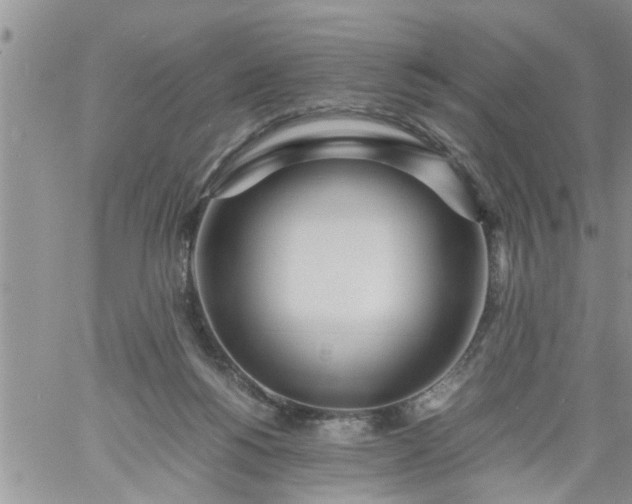 X0000060780168200511241828