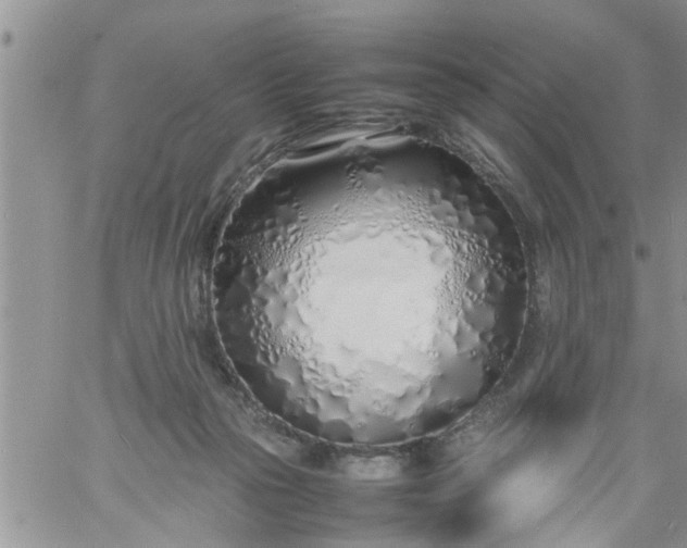 X0000060780169200511241828