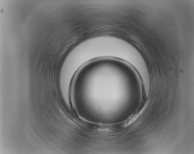 X0000060780171200511241828