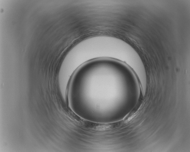 X0000060780172200511241828