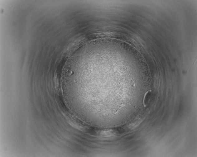 X0000060780173200511241828