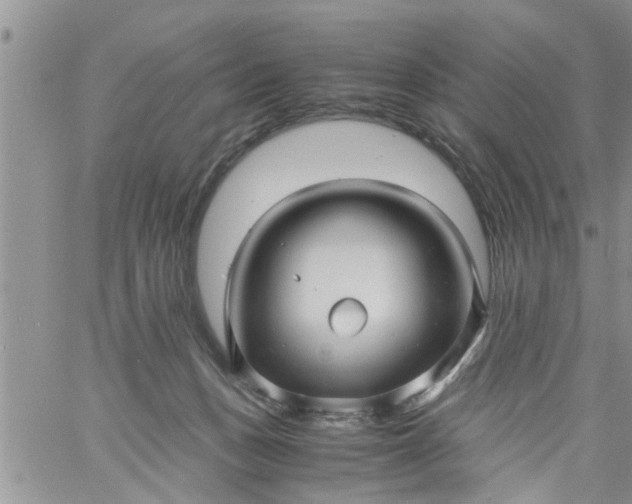 X0000060780175200511241828