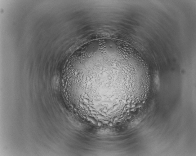 X0000060780177200511241828