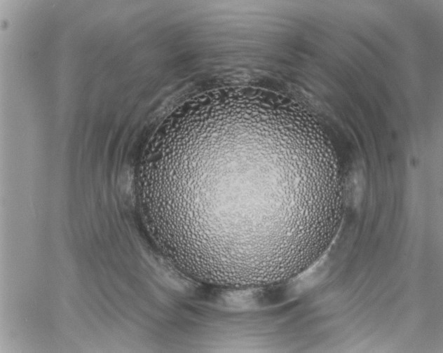 X0000060780178200511241828