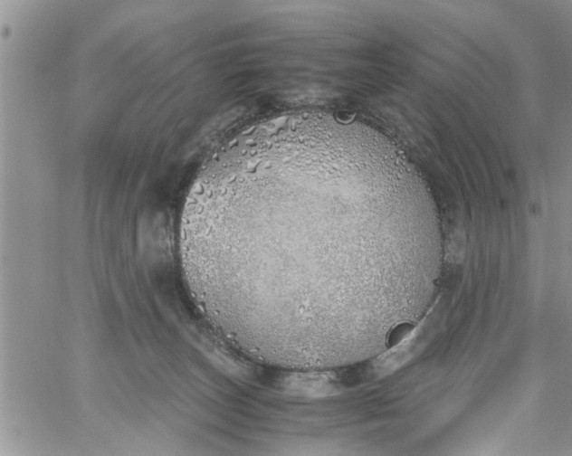 X0000060780179200511241828