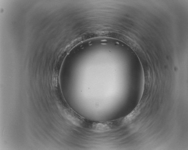 X0000060780180200511241828