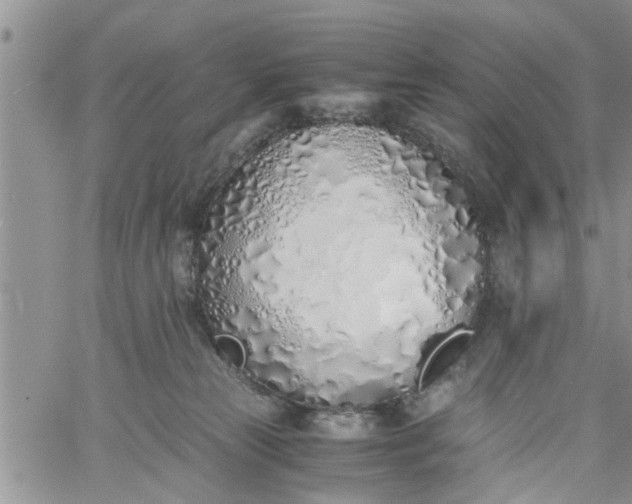 X0000060780181200511241829